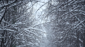 В Молдове в понедельник похолодает до - 5