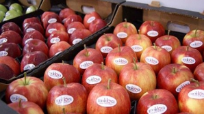 Российский эксперт: Россия должна снять эмбарго с молдавской продукции