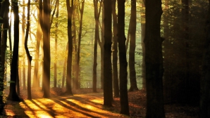 28 февраля на всей территории страны будет тепло и солнечно