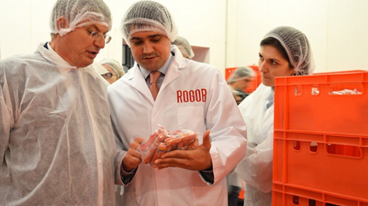 Эксперты и потребители выбрали «ROGOB»