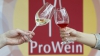 Выставка ProWein 2015: молдавские виноделы многого ждут от ярмарки