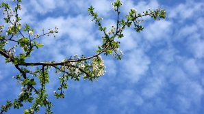 24 марта в Молдове будет солнечно