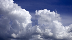 Последний день недели будет по-весеннему солнечным