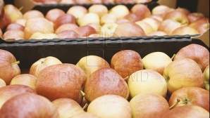 Производители и экспортёры фруктов требуют увеличить фонд субсидирования