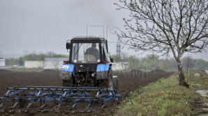 Фермеры Дубоссарского района рискуют понести многомиллионные убытки