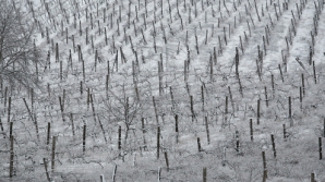 Метеорологи: Легенда о бабе Евдохе, которая вытряхивает свои перины, подтверждается