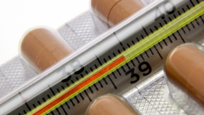 В Каушанском районе от гриппа скончался мужчина