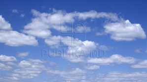 Синоптики: Снега не будет уже до следующей зимы, да и дожди прекратятся