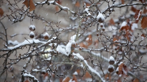 В Молдове 18 марта возможны дожди и мокрый снег