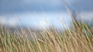 2 марта в Молдове переменная облачность, на севере кратковременные дожди