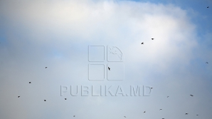  11 марта в стране будет облачно с прояснениями