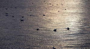 В Молдове 5 марта существенных осадков не ожидается