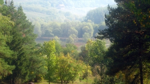 Международный день лесов: сколько в Молдове лесных массивов