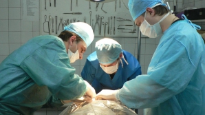 В Британии врачи впервые пересадили пациенту мертвое сердце