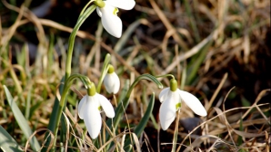 В первый выходной день осадков в Молдове не будет