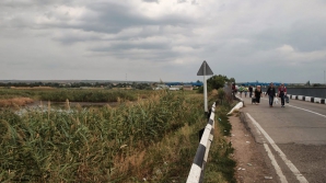 Стрельба произошла на приднестровском участке молдо-украинской границы