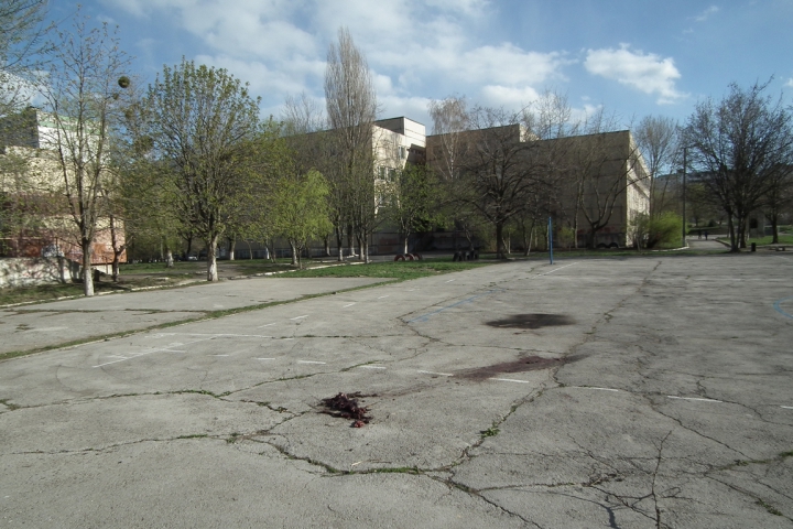 В Кишиневе сожгли заживо собаку (ФОТО)