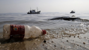 Соревнования по серфингу в Рио-ле-Жанейро под угрозой срыва из-за сточных вод