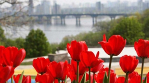 5 мая в Молдове ожидается теплая и солнечная погода