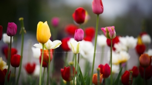 Третьего мая погода сильно не изменится