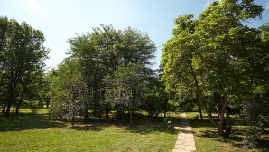 В первый выходной в Молдове будет облачно и ветренно