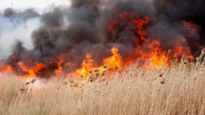 В Молдове объявлен желтый код в связи с высокой пожароопасностью 