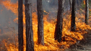 В Молдове объявлен желтый код в связи с высокой пожароопасностью