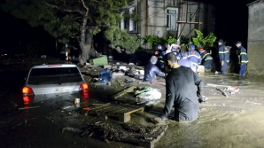 В Тбилиси за ночь на телефон экстренной службы поступило 30 сообщений о хищниках