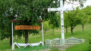 Одна из кандидатов в мэры Цыганешт уверяет, что знает, как решить проблемы людей