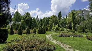 23 июня в Кишинёве будет +25 градусов