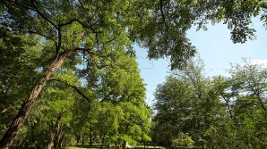 В среду в Молдове ожидается ясная и солнечная погода 