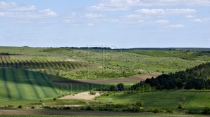 Неделя начинается в Молдове умеренно теплой погодой
