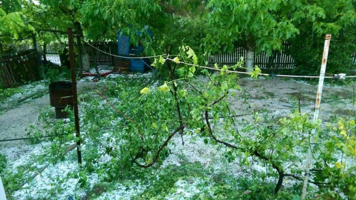 Дождь с градом уничтожил все яровые посевы на юге страны (ФОТО/ВИДЕО)