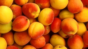 Восточная моль угрожает молдавскому урожаю персиков, абрикосов и слив