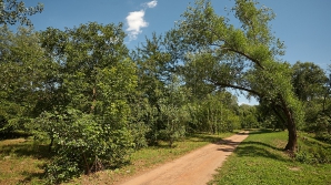 Во вторник в Молдове ожидается переменная облачность без осадков