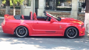 В Кишиневе водителя Mustang остановило дерево (ФОТО/ВИДЕО)