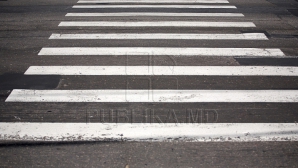 Препятствие на дороге: как водители пытались объехать ветку