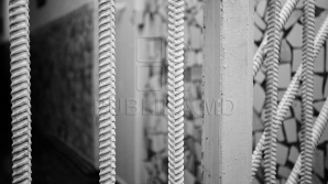 Виктор Гурэу: Петренко надо арестовать, а Григорчука посадить