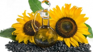 Неблагоприятные погодные условия скажутся на урожае пшеницы и подсолнечника