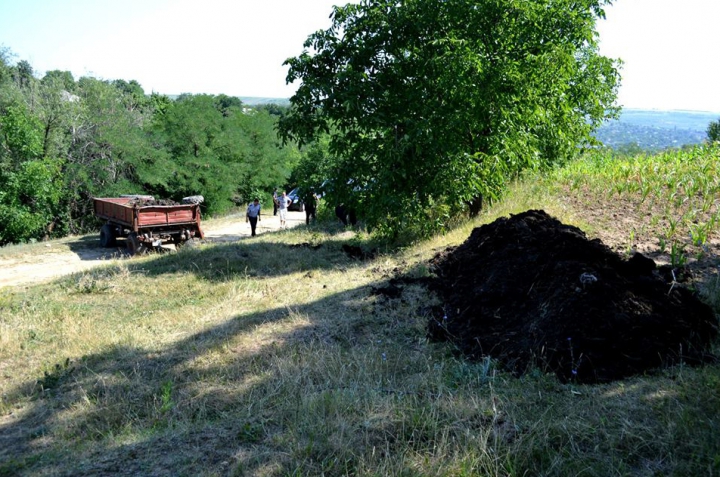 В Оргеевском районе перевернулся трактор с прицепом, водитель скончался