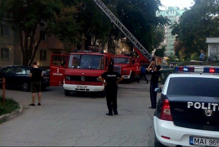 Пожар в секторе Чокана, с огнем боролись два спецрасчета