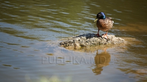 Водоснабжение Кишинева и Кагула под угрозой