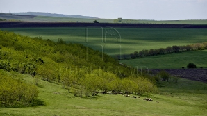 Статистика: туристы из каких стран чаще всего едут в Молдову