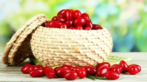 Холодная весна и засушливое лето могут лишить молдаван урожая кизила