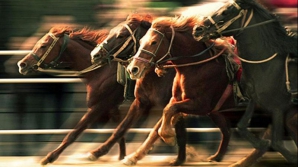 Скачки в Чимишлии: в забегах участвовали 32 скакуна из разных районов страны