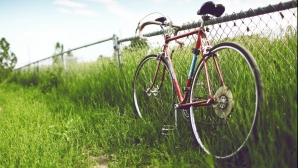 В Яловенском районе за выслеживание неопрятных сельчан дают велосипед