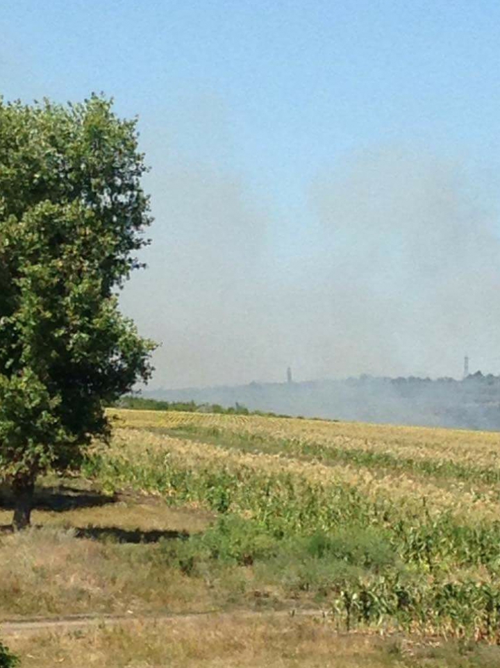 В Шолданештском поле загорелась трава 