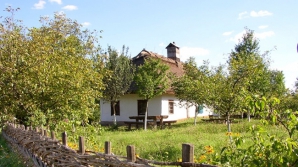 Проблема трудоустройства сельской молодежи: лишь 6% находят работу по месту жительства