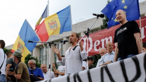 Требования выдвигают, а решения не предлагают: в эфире Fabrika обсудили действия платформы DA