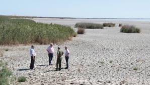 В Чимишлии высохли семь городских озер